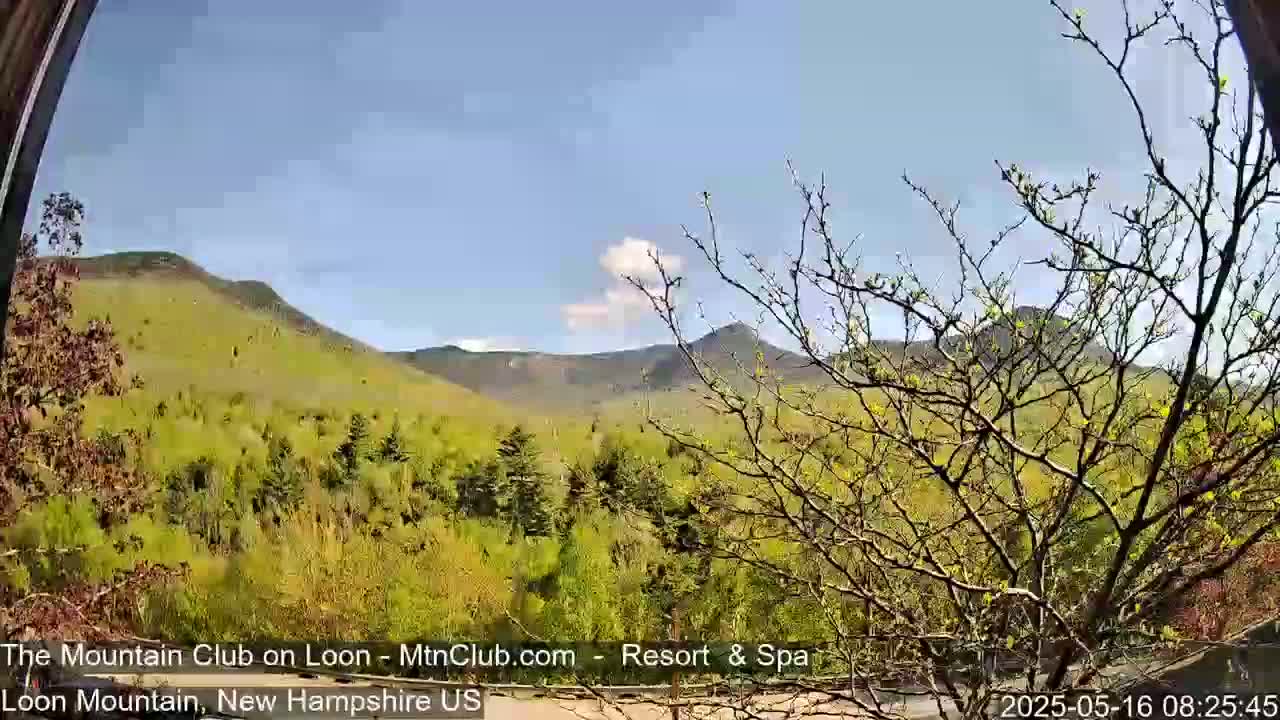 A partly sunny day reveals a view of rolling green mountains and budding trees from a high vantage point.