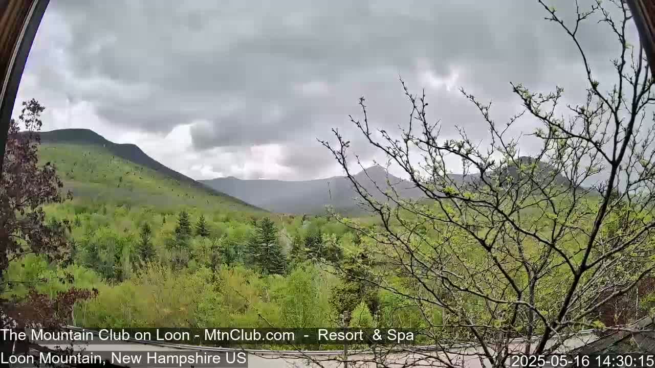 A view through a window shows a lush green landscape of trees and hills under an overcast sky.
