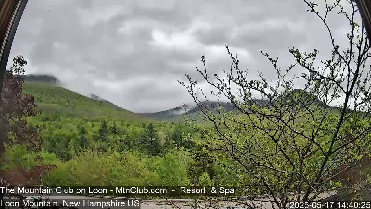 A view through a window shows a mountain range partially obscured by clouds and fog, with lush green foliage in the foreground under an overcast sky.