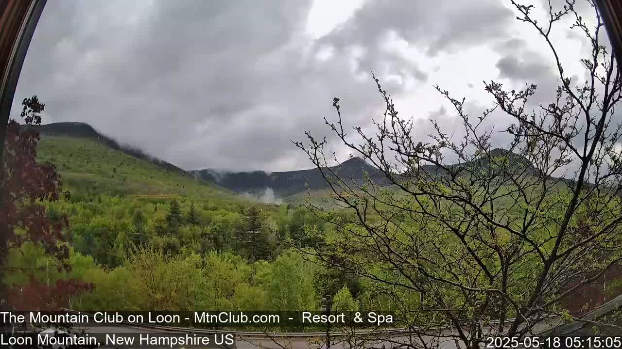 A view of misty, green-covered mountains under a cloudy sky, partially obscured by bare tree branches in the foreground.