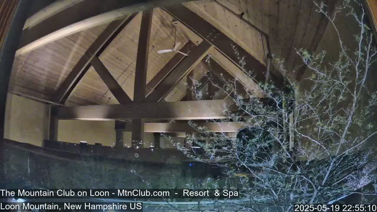 A nighttime view through a window shows a wooden-beamed ceiling with a ceiling fan, and a bare, leafless tree outside.