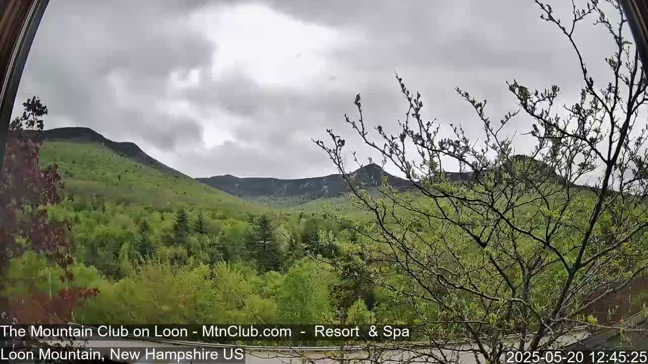 A view through a window shows a lush green mountain range under a cloudy sky.