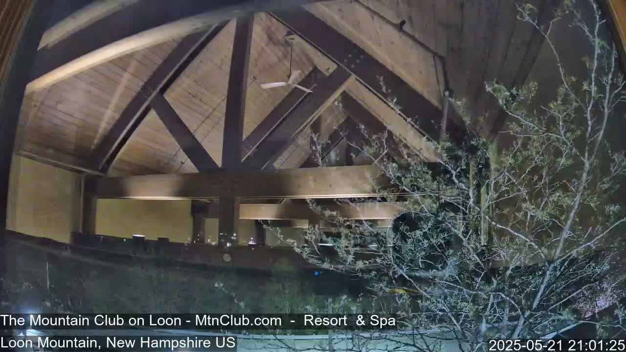 A nighttime view through a window shows a wooden ceiling with exposed beams and a ceiling fan, partially obscured by a bare tree branch outside.