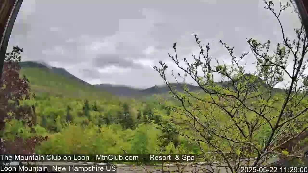 A view of a lush green mountain range under an overcast sky, seen from behind a partially visible tree.