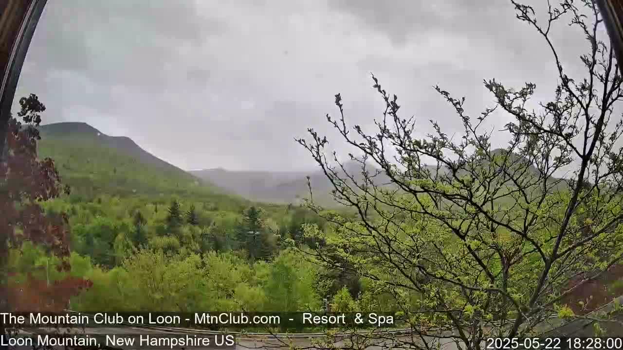 A view of a lush green mountain range under an overcast sky.
