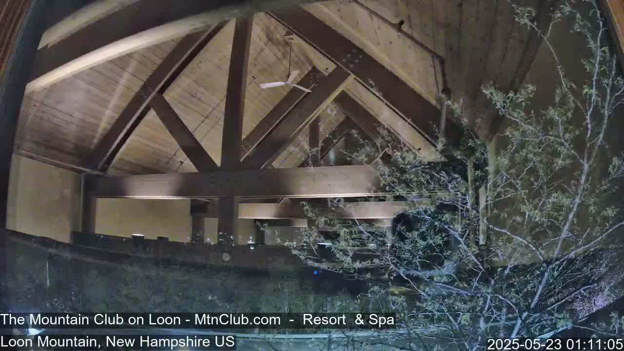 A nighttime view shows a wooden-beamed ceiling and a portion of a building interior, partially obscured by bare branches of a tree outside.