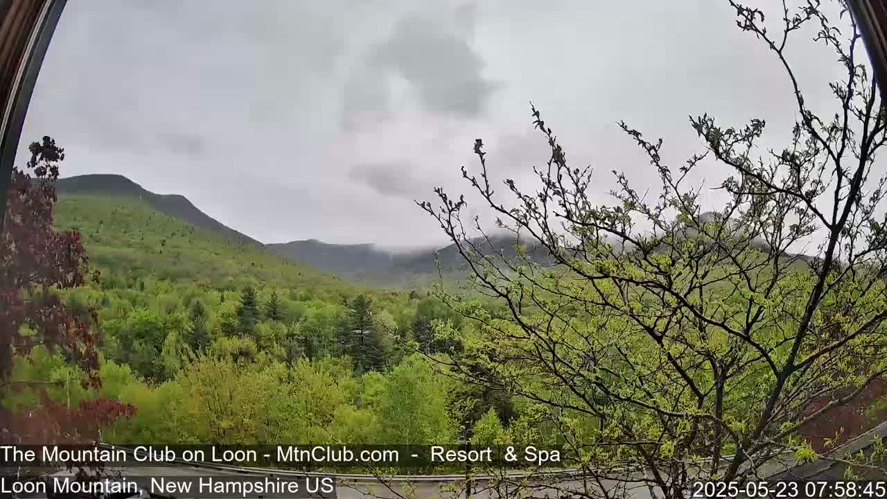 A view from a window shows a lush green mountain range partially obscured by a cloudy, overcast sky.