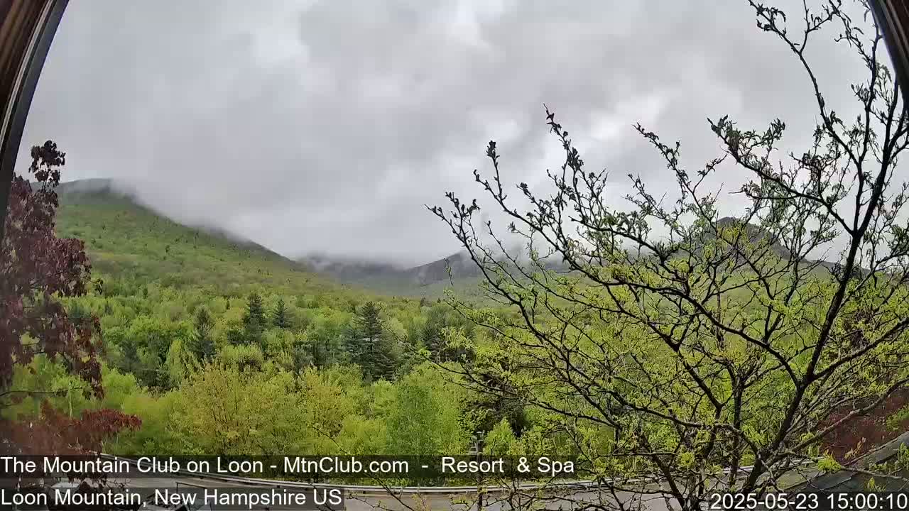 A view through an arched window shows a partly cloudy sky over lush green, spring foliage and misty mountains.