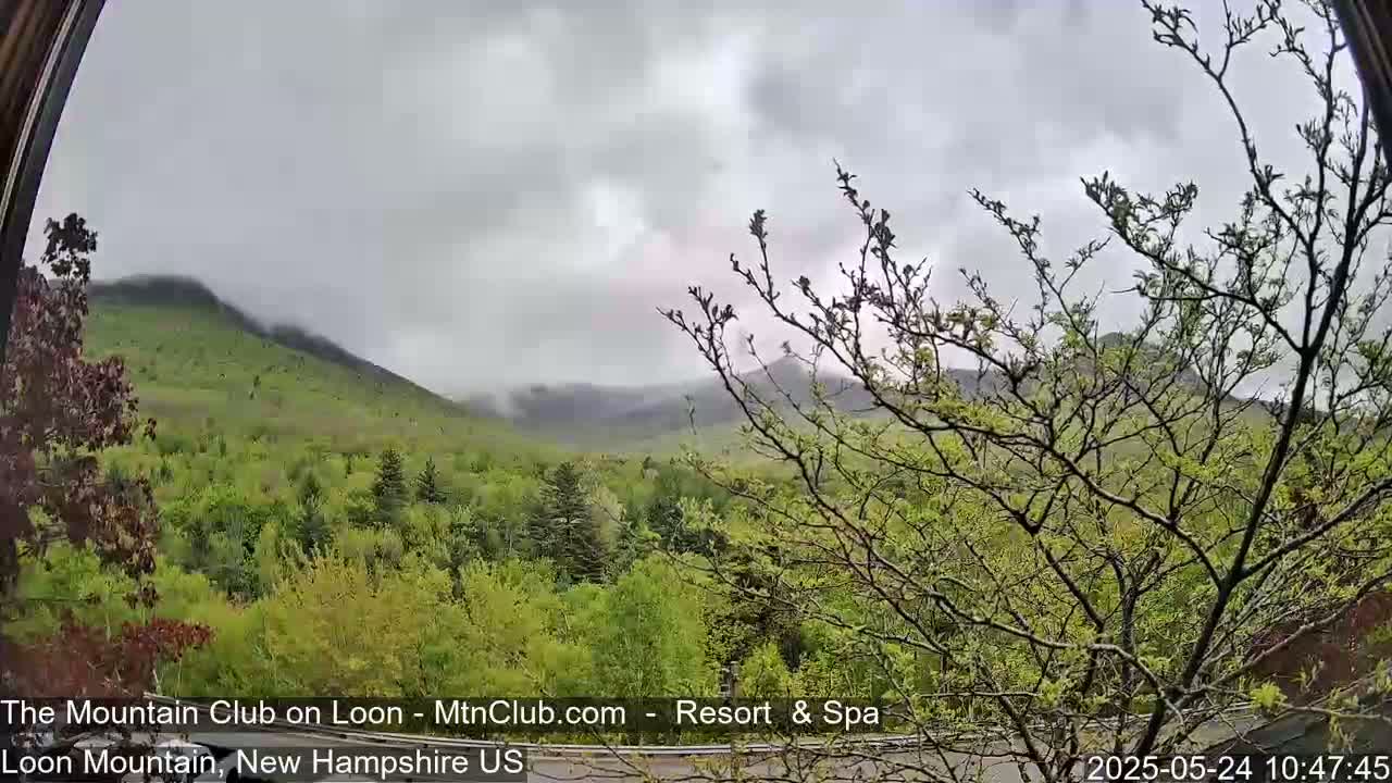 A view of lush green, fog-covered mountains on an overcast day.