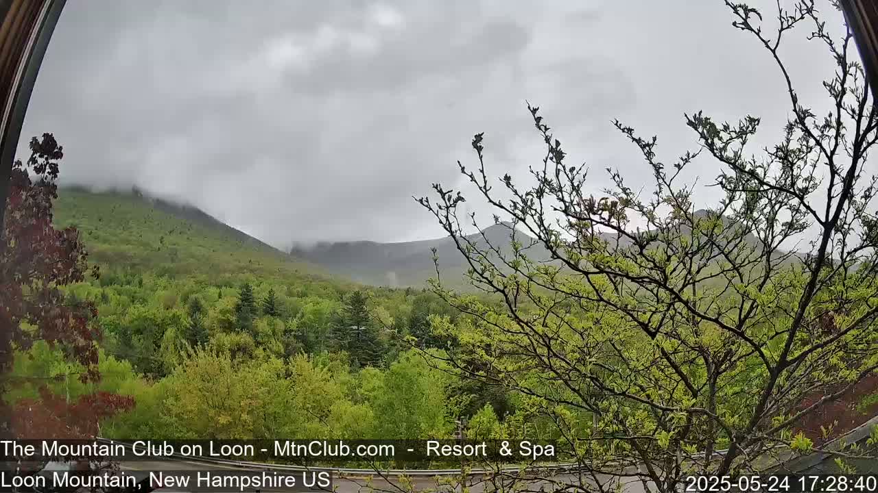 A view through a window shows a misty, overcast sky over lush green mountains and trees.