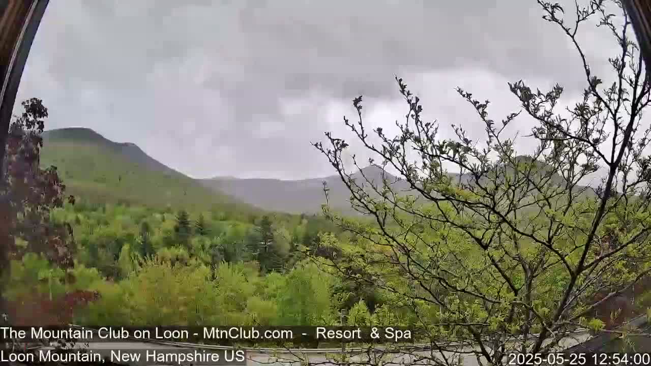 A view of green, hilly woodlands under a cloudy, overcast sky.