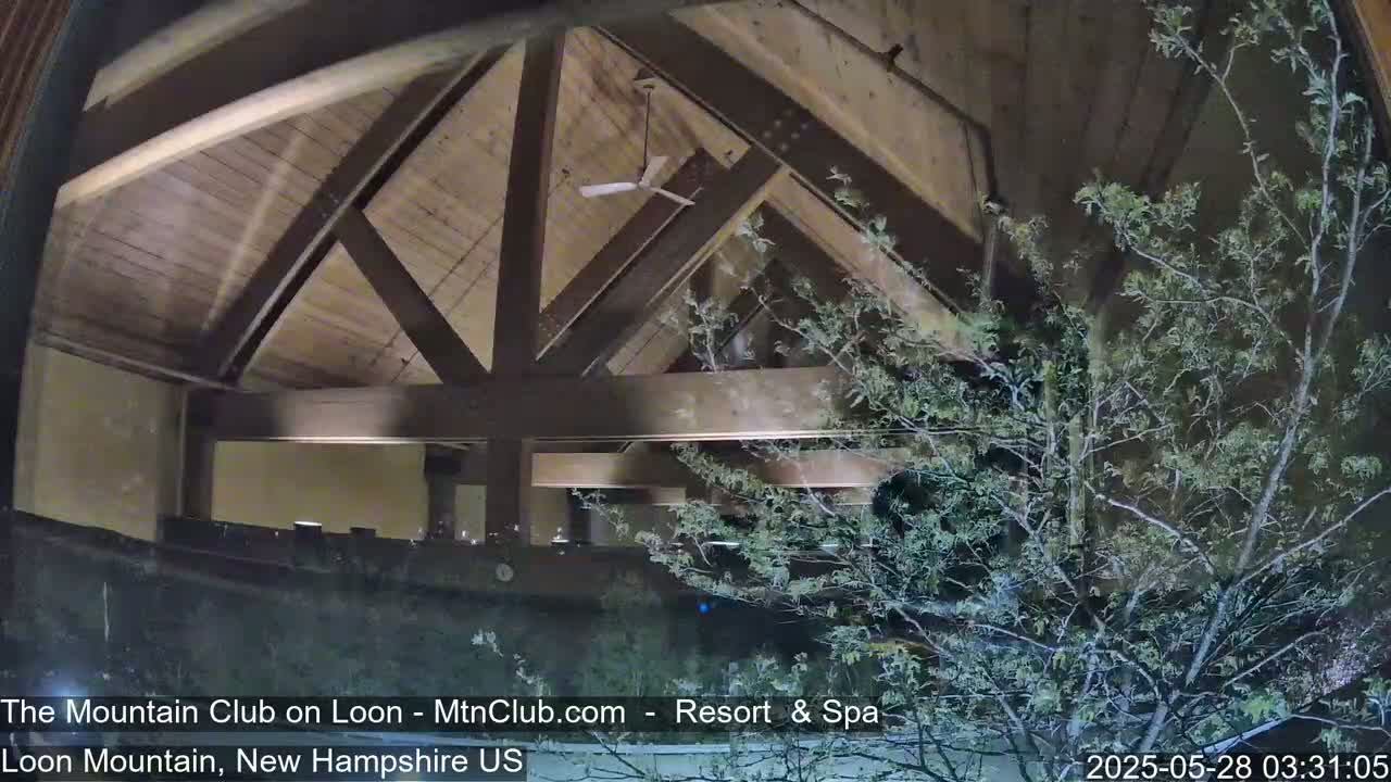 A nighttime view through a window shows a wooden ceiling with exposed beams and a ceiling fan, partially obscured by tree branches outside.