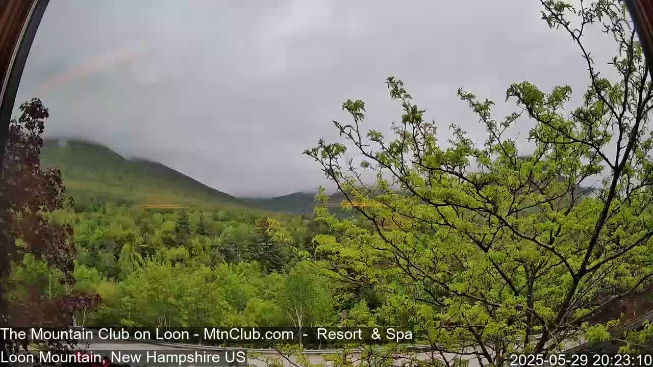 A view through a window shows a misty, overcast day with green mountains in the distance and lush green trees in the foreground.