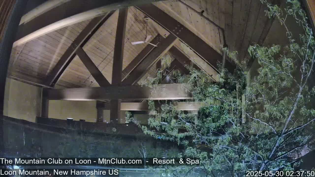 A nighttime view from inside a building shows a wooden ceiling with exposed beams and a ceiling fan, partially obscured by an evergreen tree outside the window.