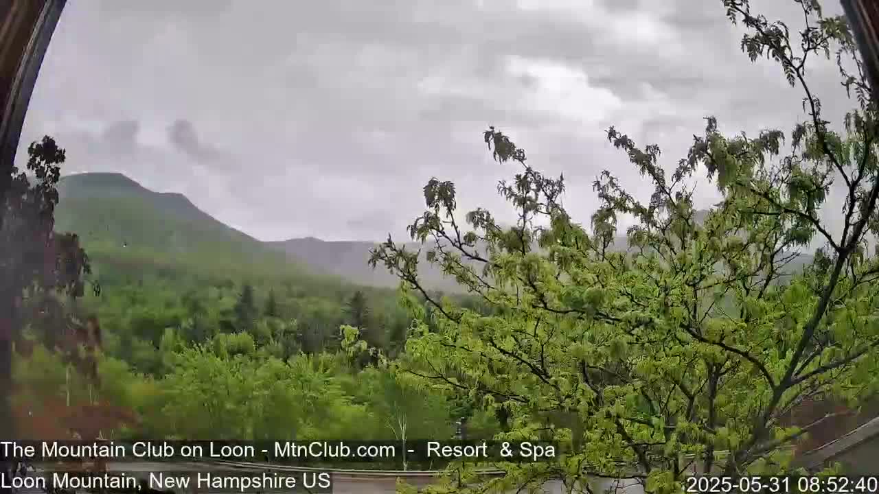 A view through a window shows a partly cloudy, overcast sky over a lush green mountain range, with a tree in the foreground.