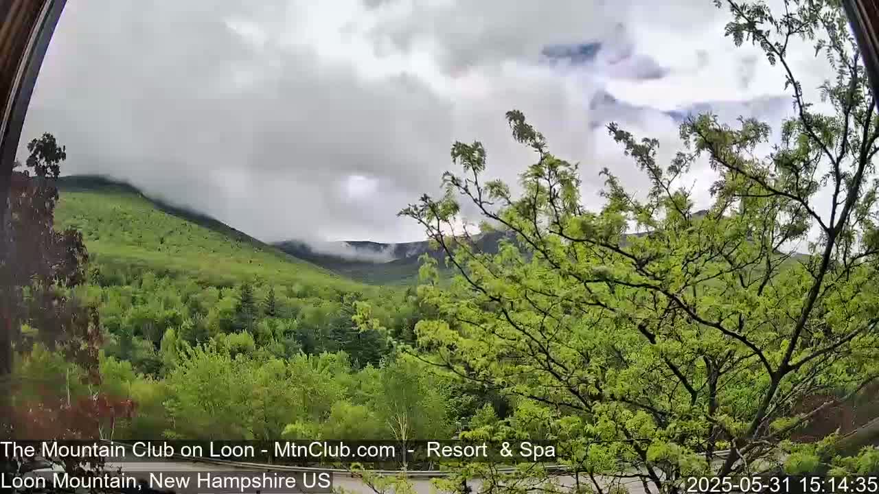 A view from a window shows a lush green mountainside partially obscured by clouds under an overcast sky.