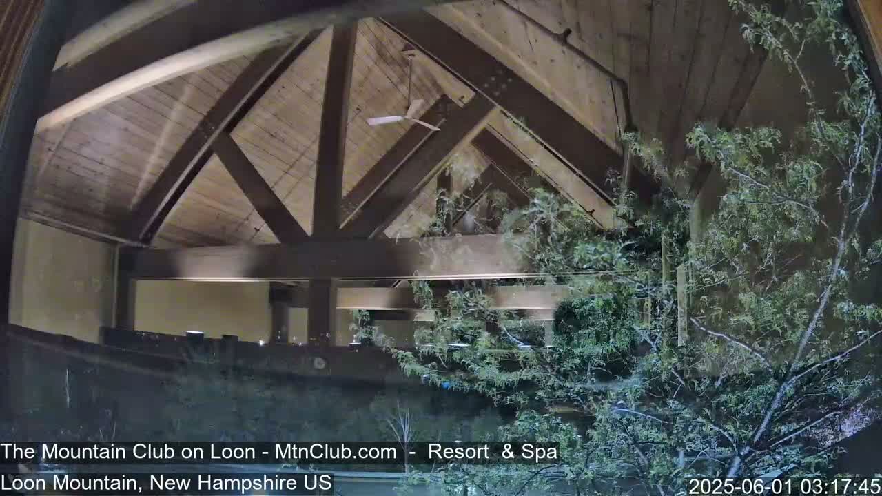 A nighttime view through a window shows the exposed wooden beams of a high ceilinged interior space, partially obscured by tree branches outside.