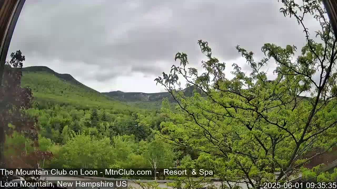 A view through a window shows a lush green landscape of trees and mountains under an overcast sky.