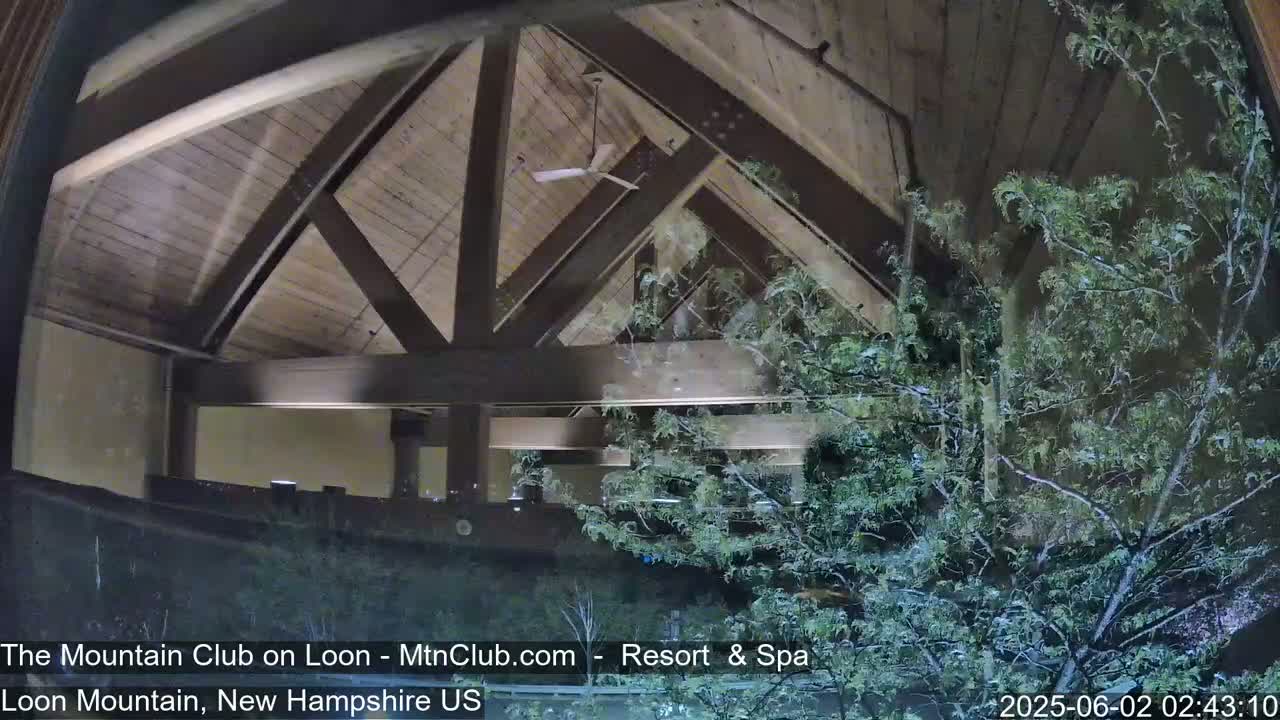 A view through a window shows a wooden ceiling with exposed beams, a ceiling fan, and a snow-dusted evergreen tree outside at night.