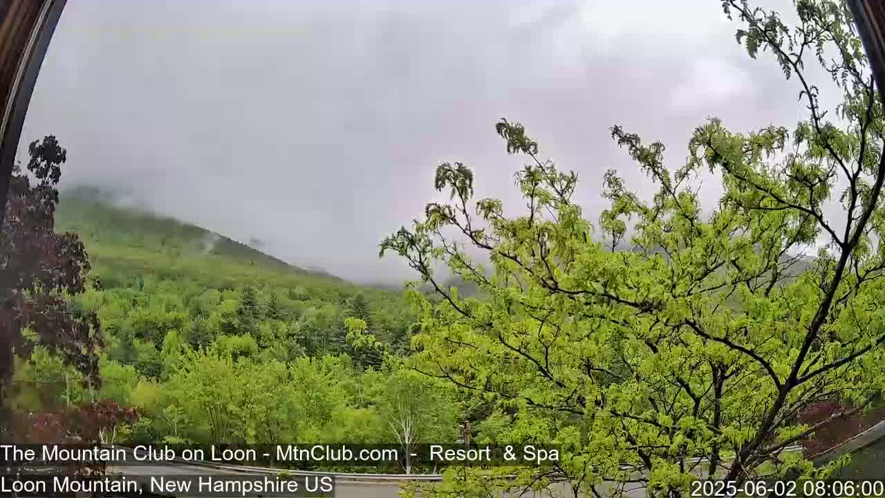 A view through a window shows a lush green forest and a mountain shrouded in mist under an overcast sky.