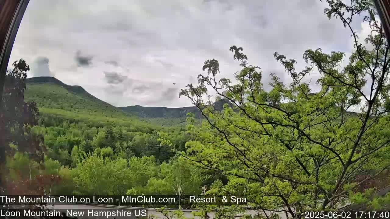 A view through a window shows a lush green forest and distant mountains under a cloudy sky.