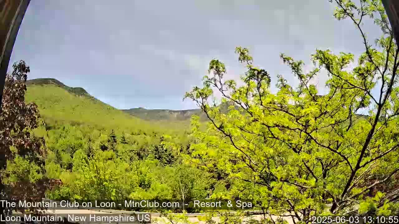 A mostly clear sky overlooks lush green mountains and trees in the foreground.