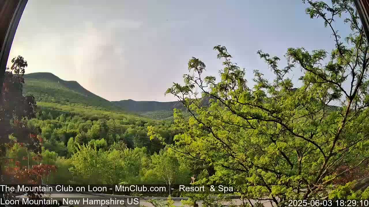 A view through a curved window shows lush green trees and mountains under a mostly clear, light-blue sky.