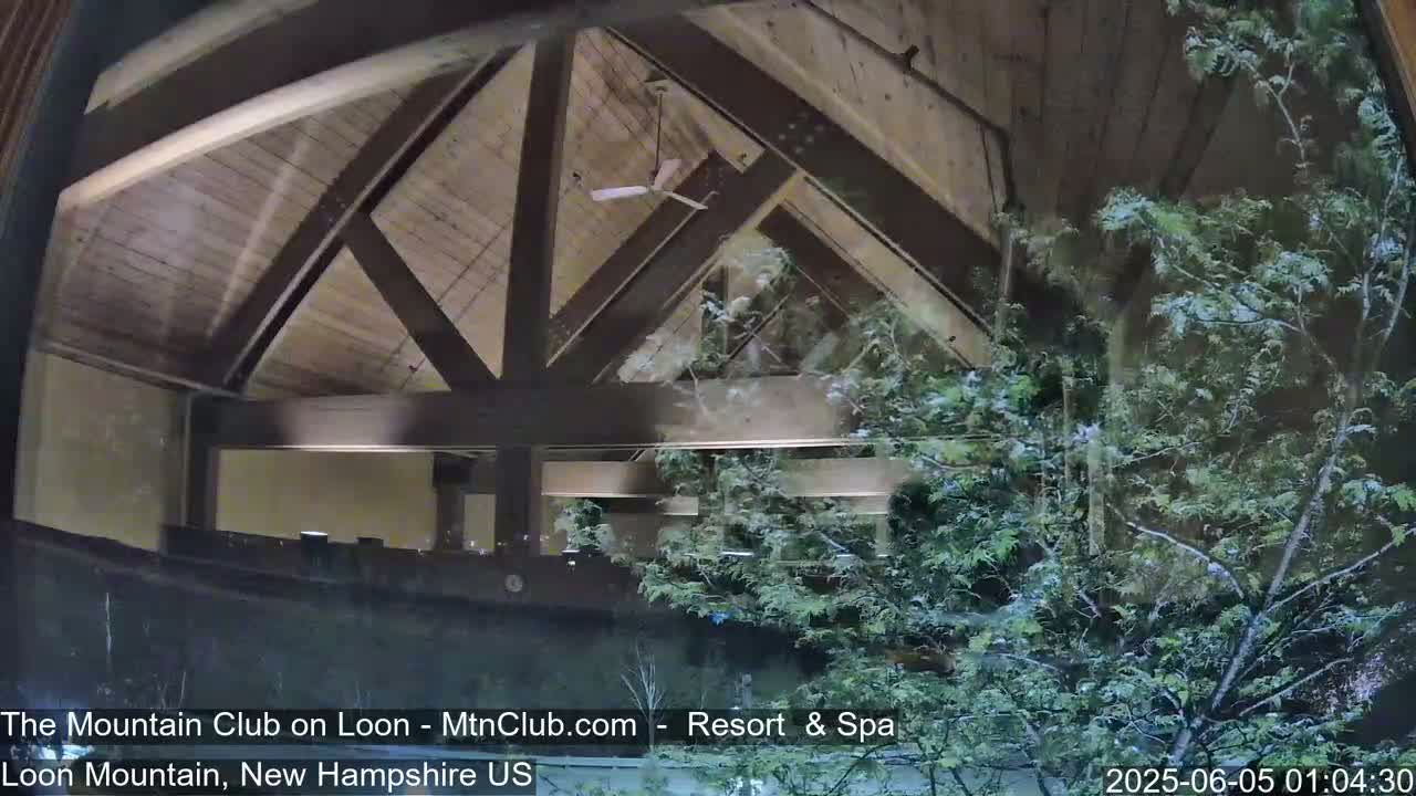 A view through a window shows the interior of a building with a wooden, A-frame ceiling and a ceiling fan, partially obscured by an evergreen tree outside.