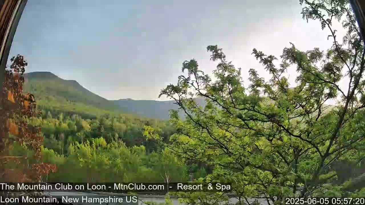 A mostly cloudy sky overlooks a lush green mountain landscape viewed from behind a leafy tree.
