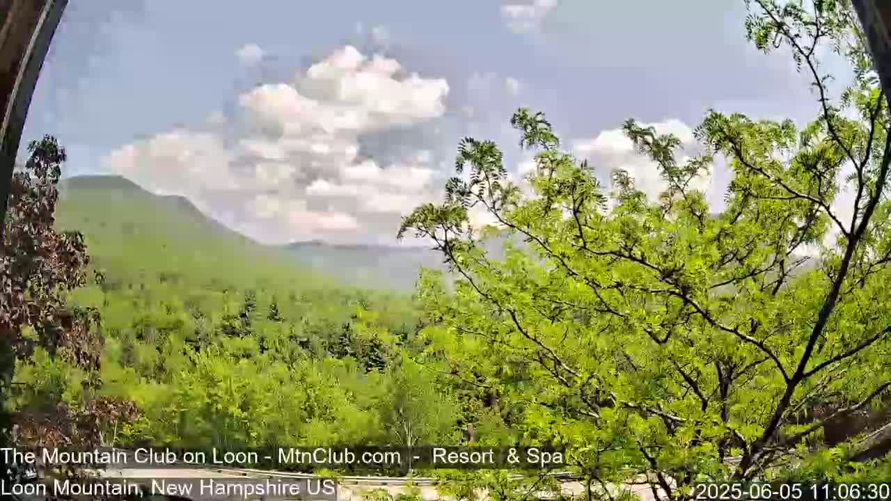 A partly cloudy day reveals a verdant mountain landscape viewed through leafy branches.