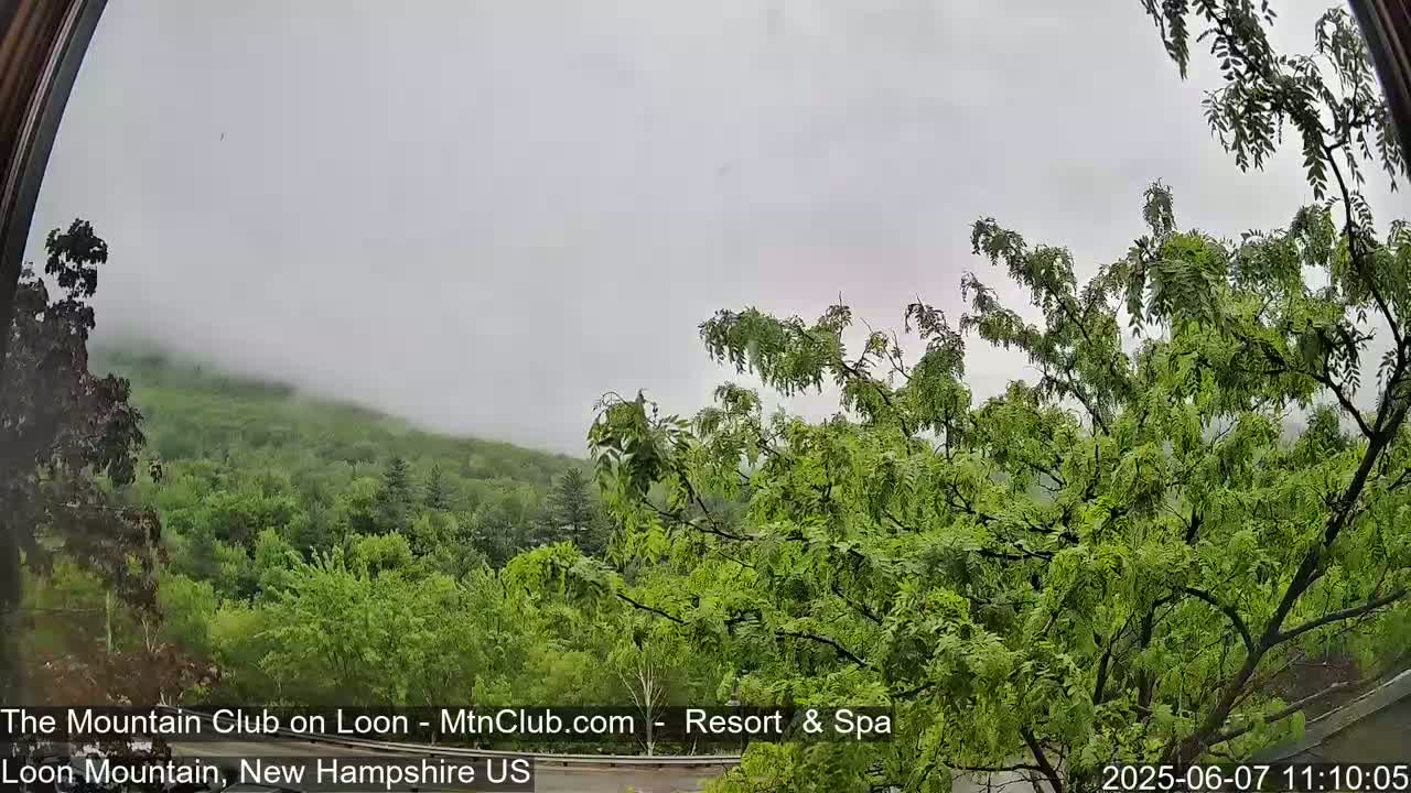 A foggy, overcast view of lush green mountains and trees is seen through a window.