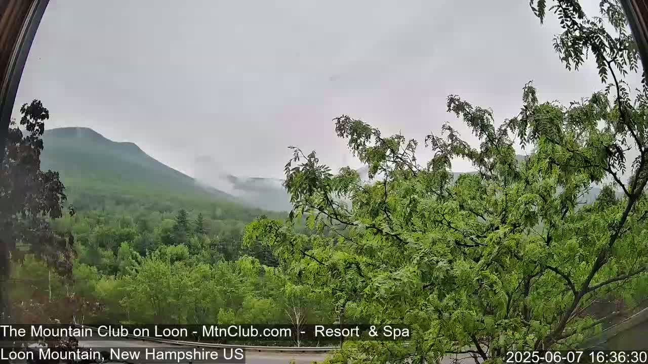 A view through a window shows a misty, overcast day with green, leafy trees in the foreground and rolling green mountains shrouded in fog in the background.