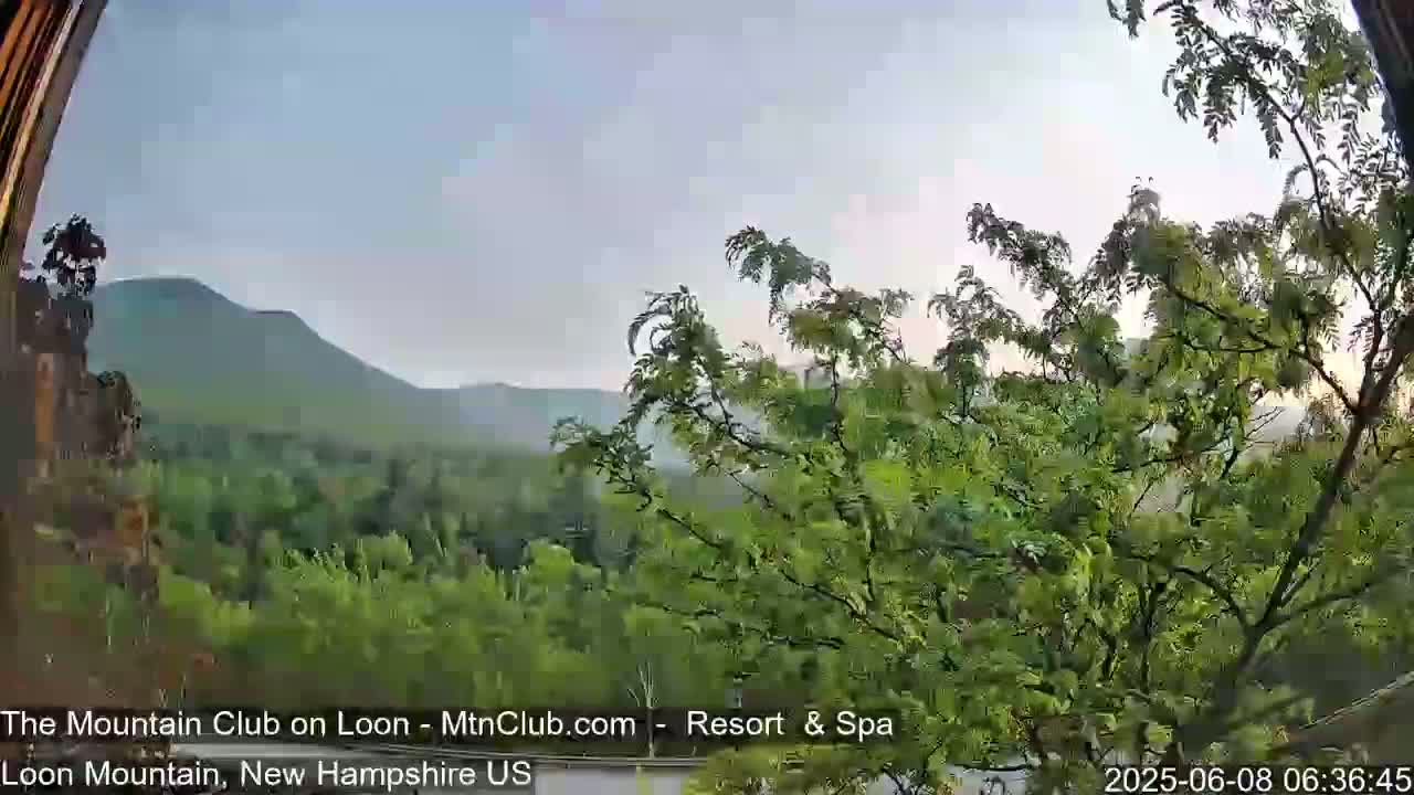 A view from a partially obscured window shows a hazy, overcast sky over a green, mountainous landscape with trees in the foreground.