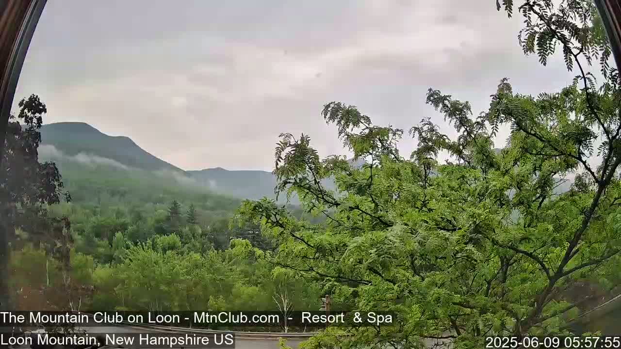 A view through a window shows lush green mountains partially shrouded in fog under an overcast sky.