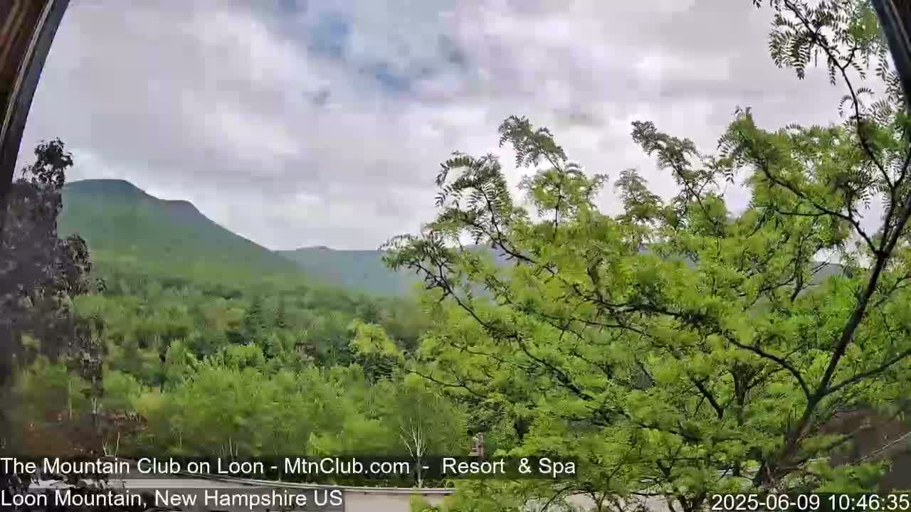 A view of lush green mountains under a cloudy sky is seen through leafy branches.