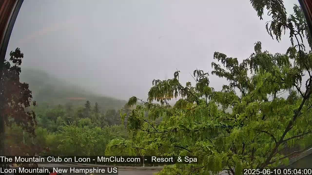 A foggy, overcast view of a lush green landscape, seen through a window framed by dark wood.