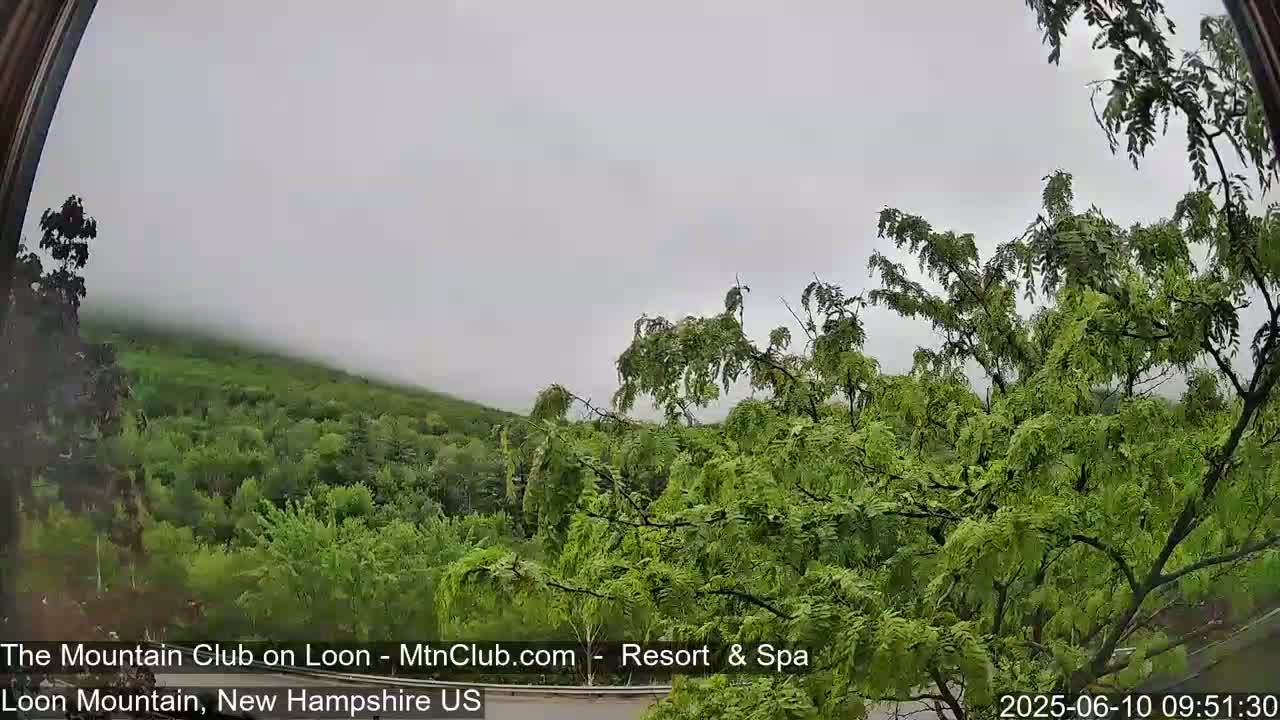 A foggy, overcast view of a lush green mountainside seen from behind a leafy tree.