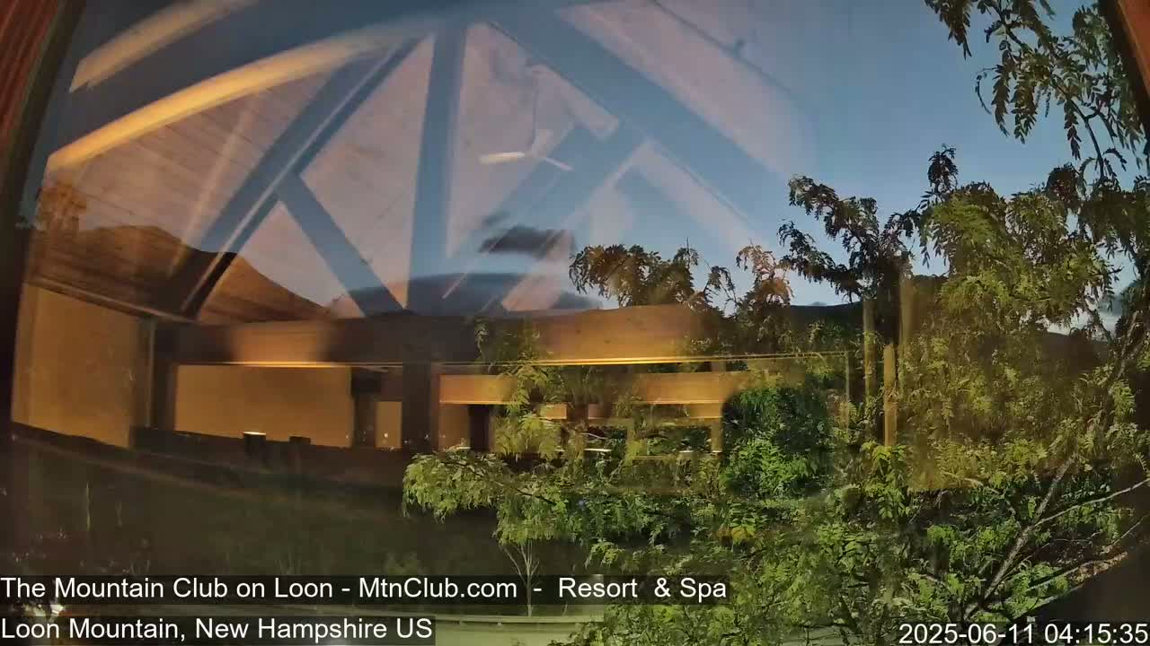 A nighttime view through a window shows a wooden structure with a partially visible interior, and lush green trees outside.