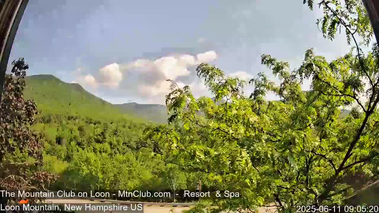 A partly cloudy, sunny day reveals a lush green mountain landscape viewed from behind leafy trees.