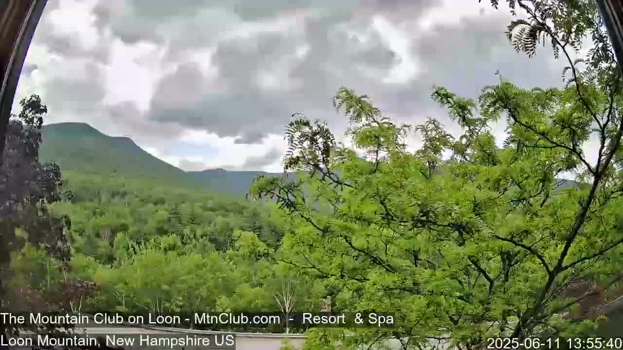 A view of a lush green mountain range under a cloudy sky, seen through an arched window partially obscured by a tree.