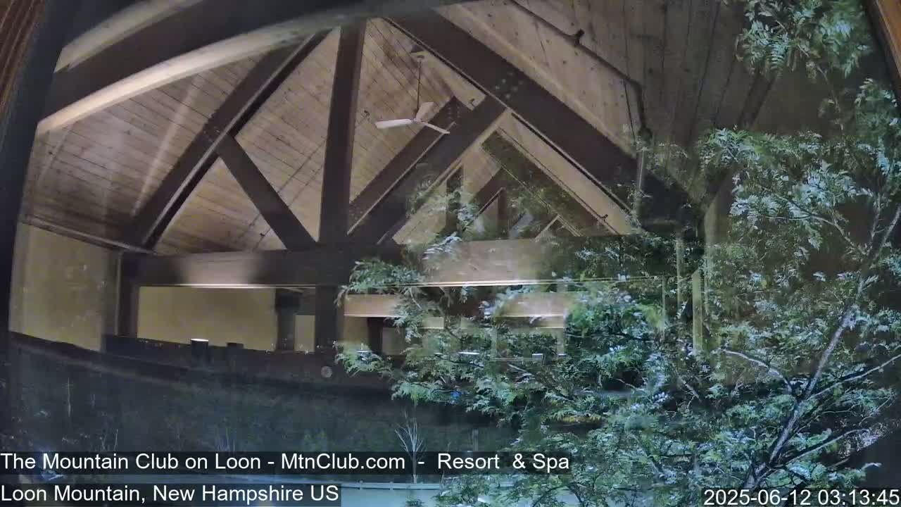 A view through a window shows the interior of a building with a wooden beamed ceiling and a ceiling fan, partially obscured by leafy green trees outside.