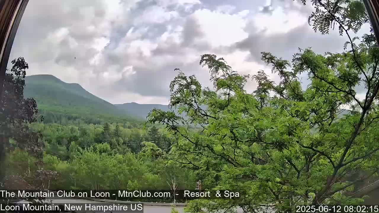 A view through a window shows a lush green forest and distant mountains under a cloudy sky.