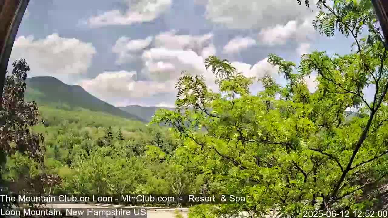 A partly cloudy day reveals a view of green, tree-covered mountains through the branches of a leafy tree.