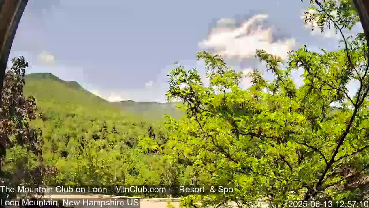 A view of green mountains and lush trees under a partly cloudy sky.