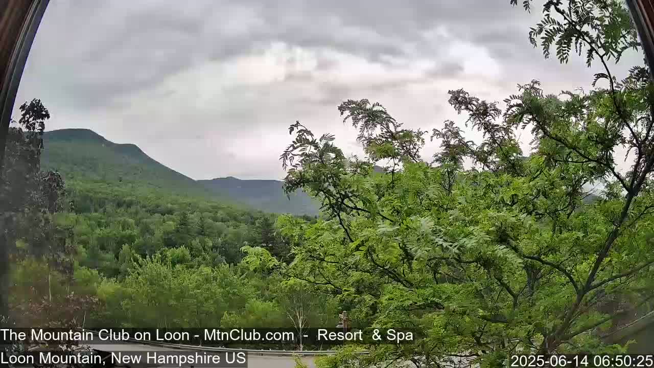 A view through a window shows a lush green mountain range under an overcast sky.