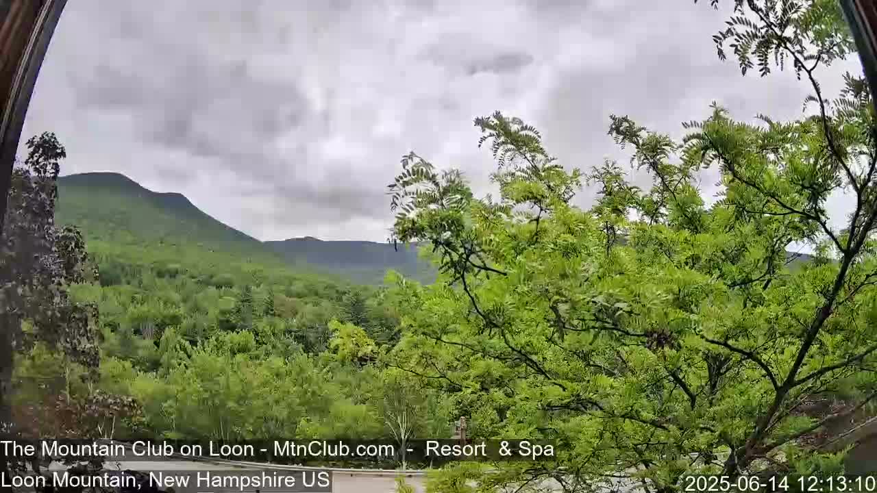 A view through an arched window shows a lush green mountain range under an overcast sky.