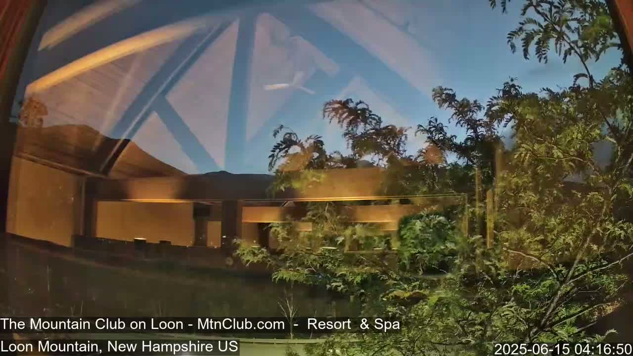 A nighttime view through a window shows a building partially obscured by trees under a twilight sky.