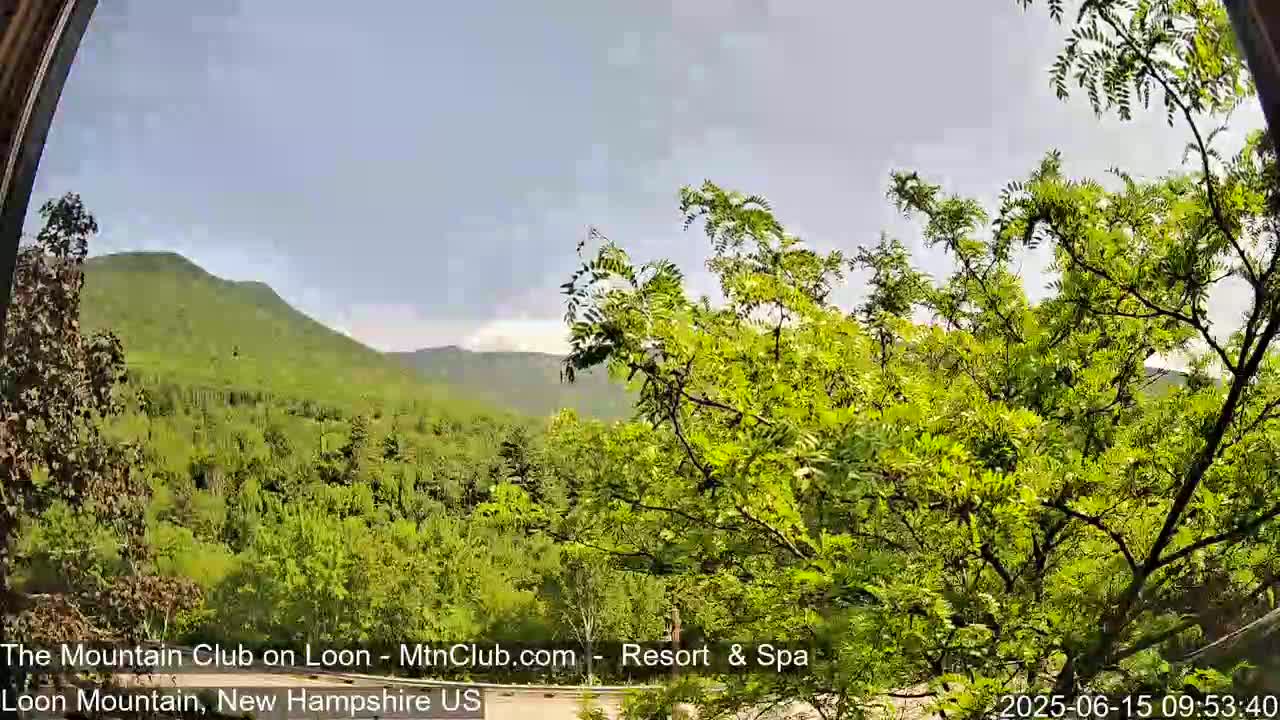 A partly cloudy sky overlooks a lush green mountain range and forest viewed through leafy branches.