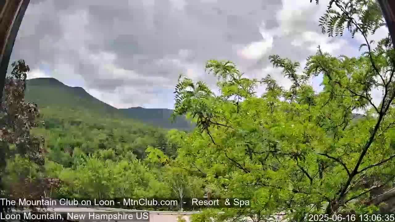 A view of a lush green mountain range under a partly cloudy sky, seen through the branches of a tree.