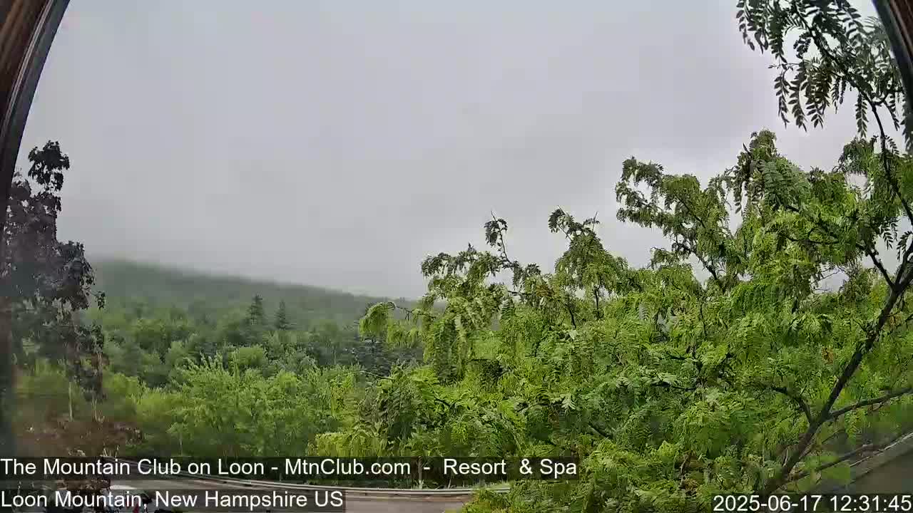 A view through a window shows a hazy, overcast sky over a lush green landscape of trees and distant hills.